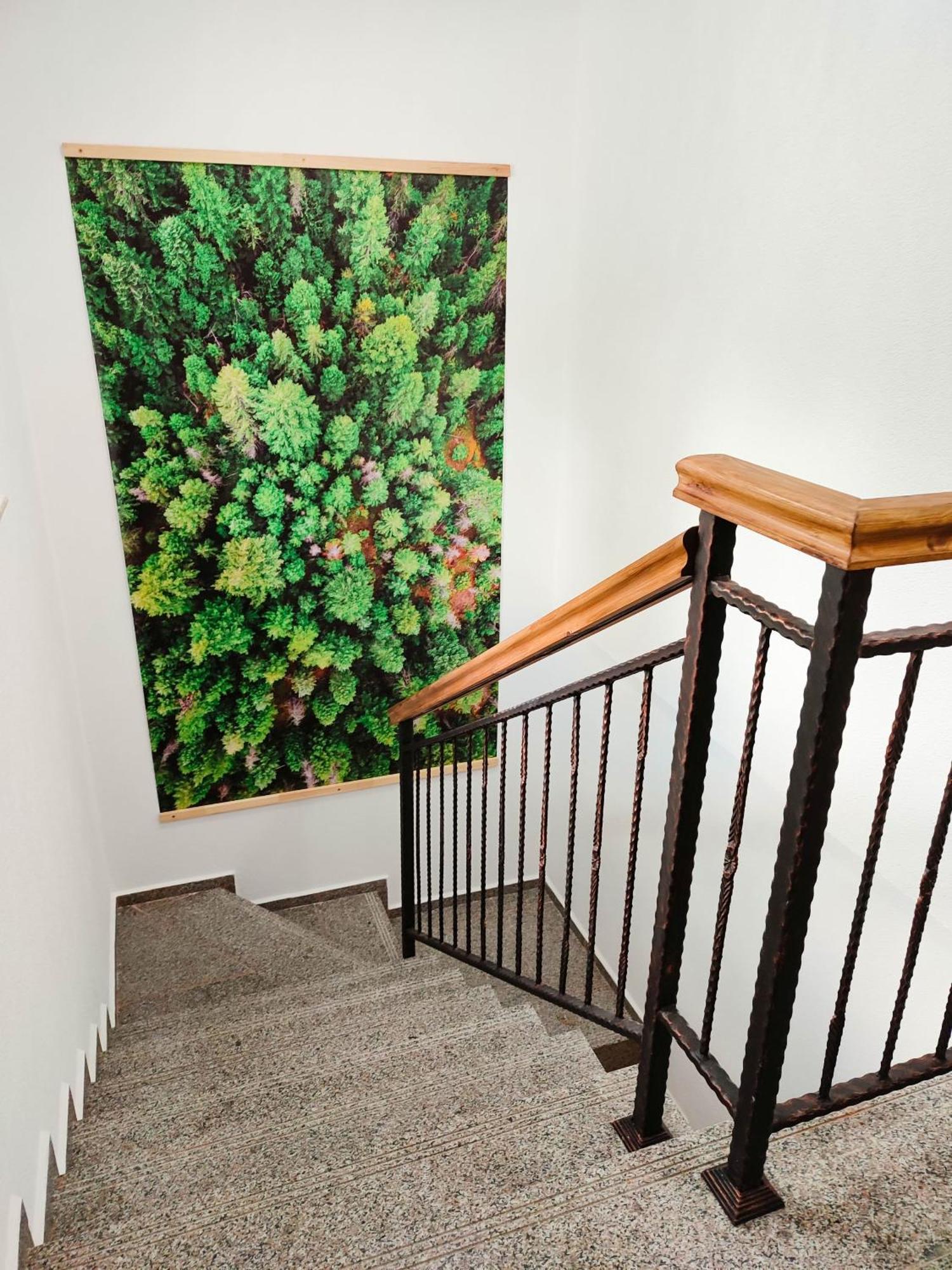 Villa Tangra Grashtitsa Zewnętrze zdjęcie